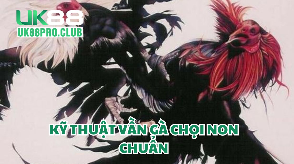 Kỹ thuật vần gà chọi non chuẩn